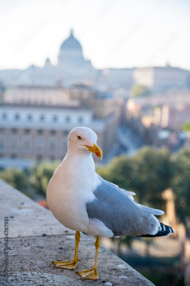 View from iconic Altar of the Fatherland to Rome historic center, Italy