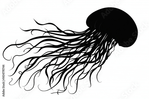Jellyfish black and white illustration vector design marine life aquatic animal ocean sea art 95char