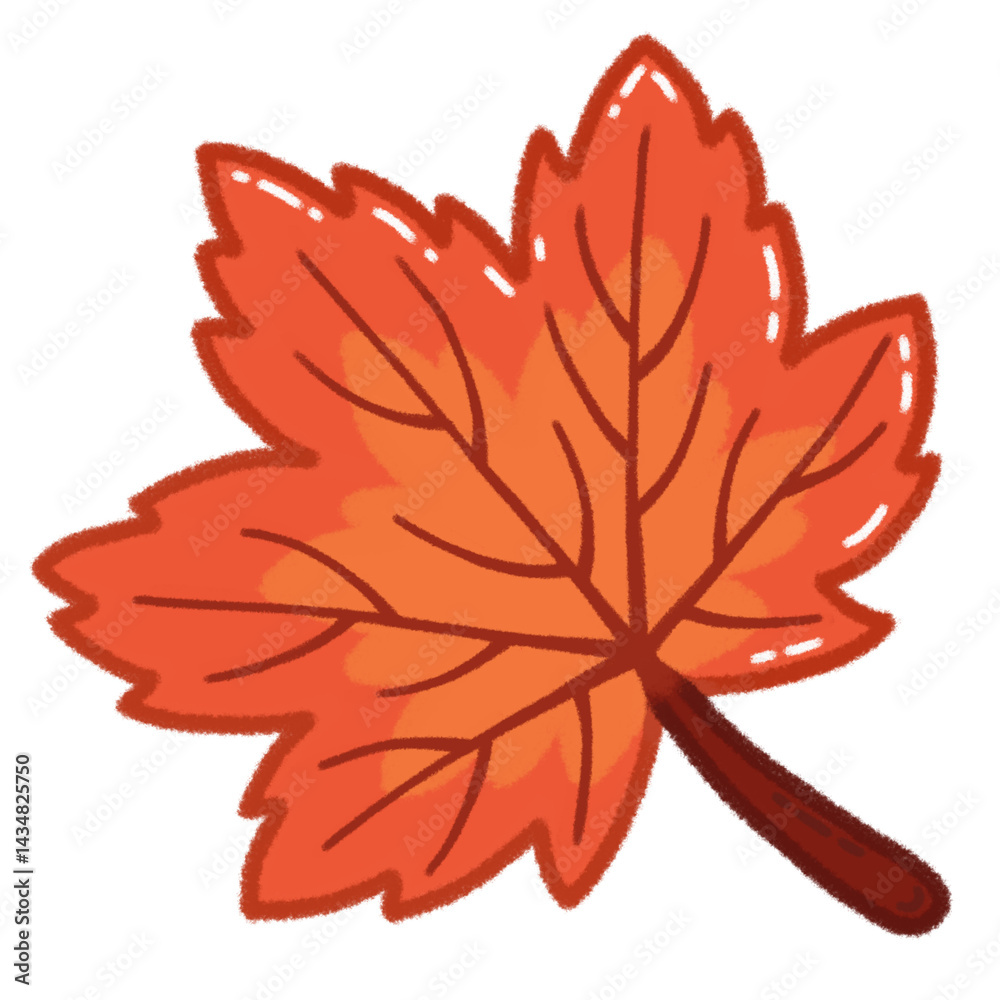 Obraz premium red maple leaf illustration