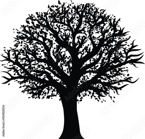 tree silhouette isolated on white.Graceful silhouettes of trees with richly detailed organic curves and branches.