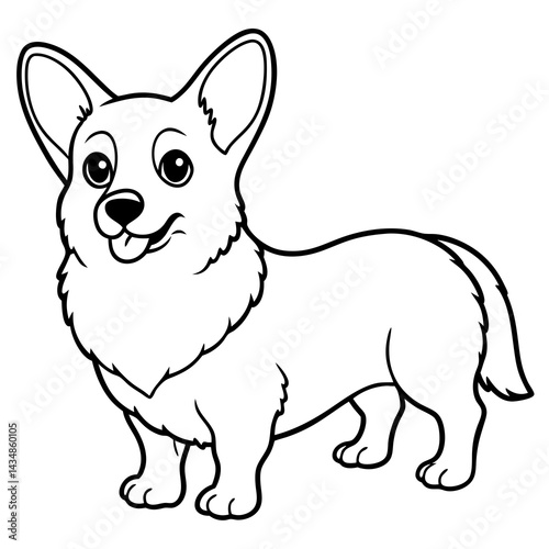 children s hand drawn corgi dog