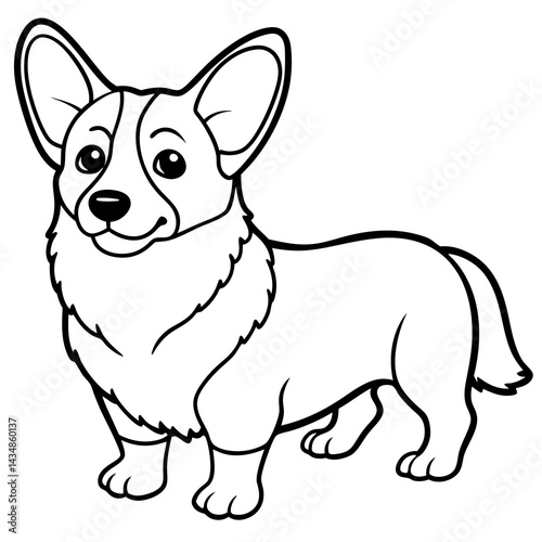 children s hand drawn corgi dog