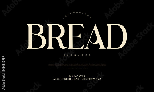 Classic Serif Typeface for Premium Branding Editorial Wedding Packaging Logo and Modern Luxury Design