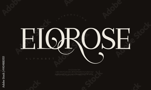 Elegant Swash Serif Font for Branding Wedding Logo Packaging Magazine Book and Premium Design