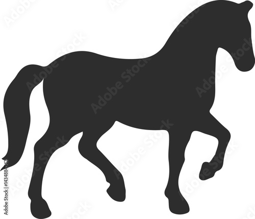 Horse Silhouette Vector Illustration