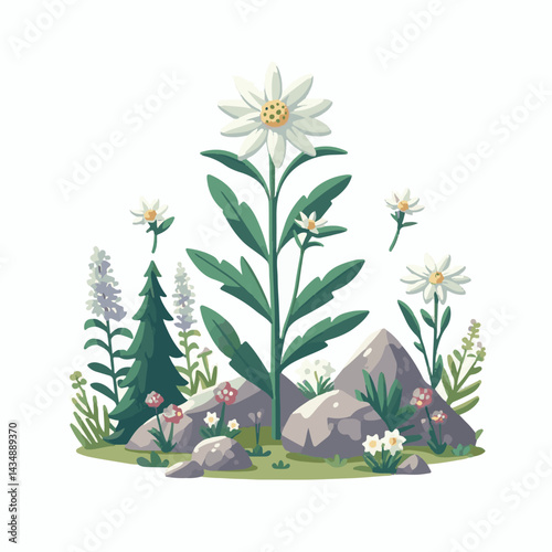 flower, edelweiss, plant, nature, flora, background, blossom, bloom, botany, alps, leontopodium, floral, alpine, mountain, white, isolated, art, summer, beautiful, design, illustration, petal, natural
