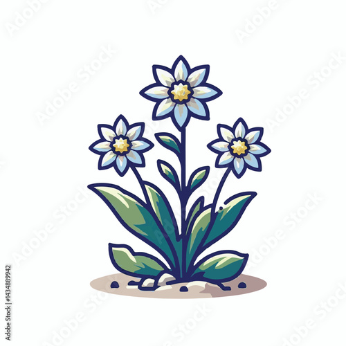 flower, edelweiss, plant, nature, flora, background, blossom, bloom, botany, alps, leontopodium, floral, alpine, mountain, white, isolated, art, summer, beautiful, design, illustration, petal, natural