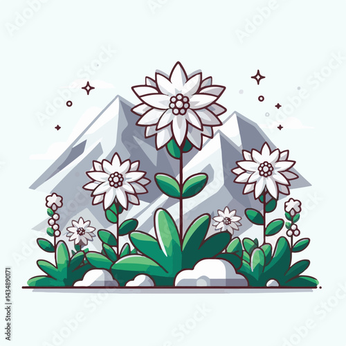 flower, edelweiss, plant, nature, flora, background, blossom, bloom, botany, alps, leontopodium, floral, alpine, mountain, white, isolated, art, summer, beautiful, design, illustration, petal, natural