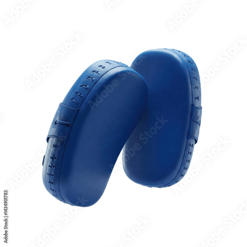 blue boxing focus pads pair photo