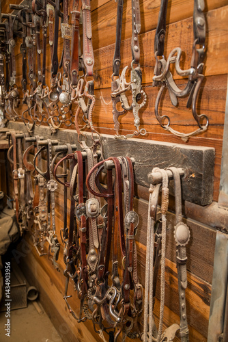vintage horse bridle harnesses