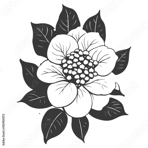 Monochrome botanical illustration of blooming flower with decorative leaves