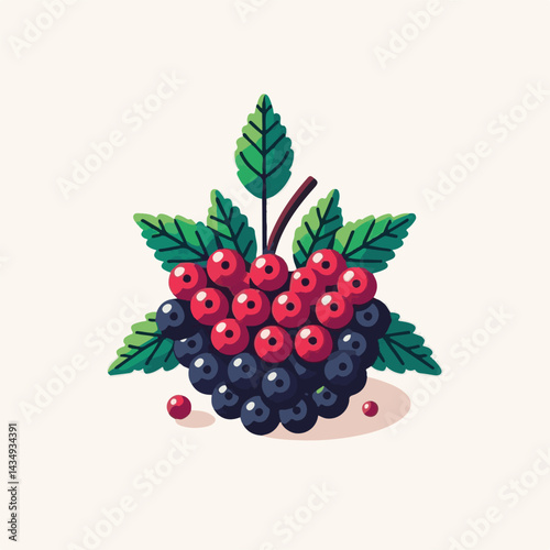 black, elderberry, berry, nature, healthy, herbal, branch, fruit, elder, fresh, organic, sambucus, food, botanical, background, leaf, plant, green, wild, natural, juicy, medicine, ripe, twig, isolated