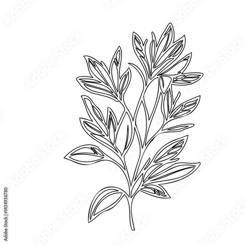 Elegant floral line art illustration showcasing botanical simplicity and minimalist design