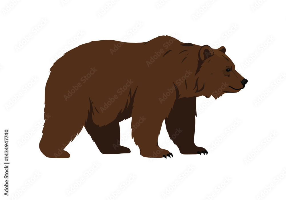 Fototapeta premium Brown bear silhouette. This image shows a black silhouette of a brown bear walking in profile, showcasing detailed fur, claws, and a bold presence. Vector clipart illustration design.