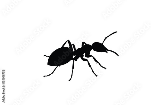 Ant silhouette. This image shows a black silhouette of an ant with detailed legs, antennae, and segmented body, symbolizing a small and industrious insect. Vector clipart illustration design.