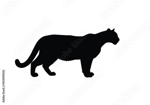 Cougar silhouette. This image shows a black silhouette of a cougar, also known as a puma, mountain lion, or panther, set against a plain background. Vector clipart illustration design.