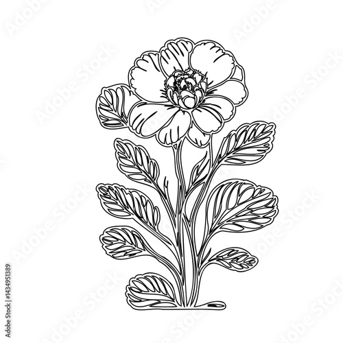 Elegant floral illustration featuring a blossoming flower with stylized leaves