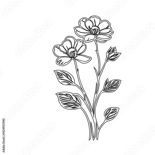 Elegant botanical line art portraying a delicate floral arrangement on white