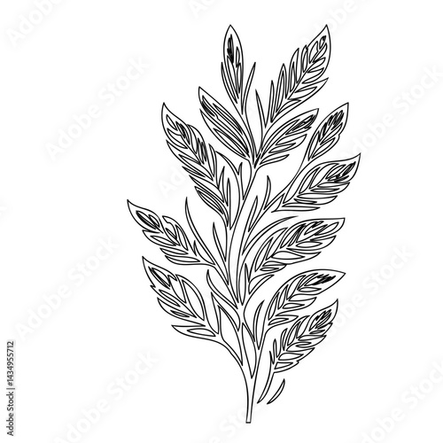 Elegant botanical outline illustration showcasing detailed foliage and symmetrical design