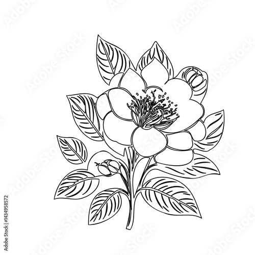 Detailed floral illustration featuring a blossoming flower with elegant leaves
