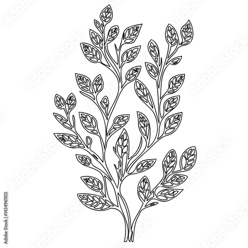 Elegant botanical illustration featuring stylized leaves and graceful branching stems