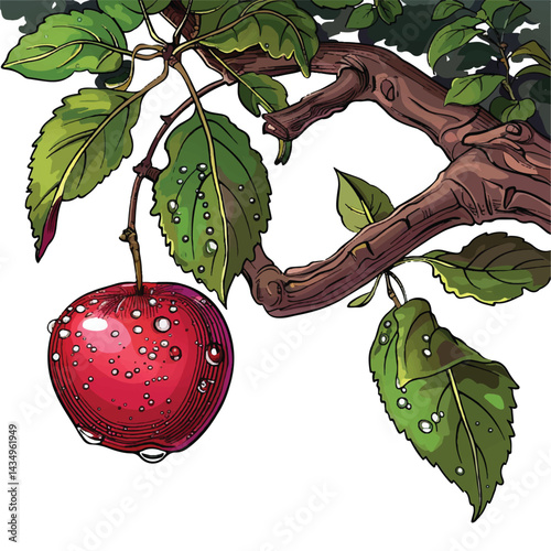 A cute of A close-up of dewdrops on a ripe apple hanging