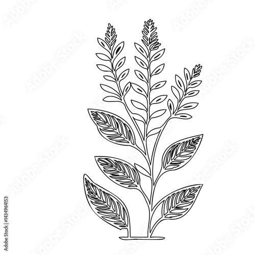 Delicate plant illustration featuring long leaves and flower spikes artwork