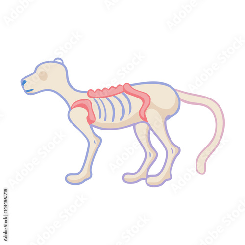 Cartoon illustration of a dog skeleton on black background