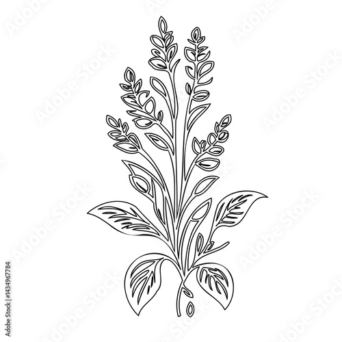 Intricate floral outline illustration with slender stems and delicate foliage