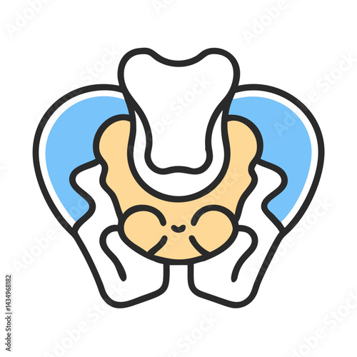 Pelvic bone with hip bone vector illustration on black