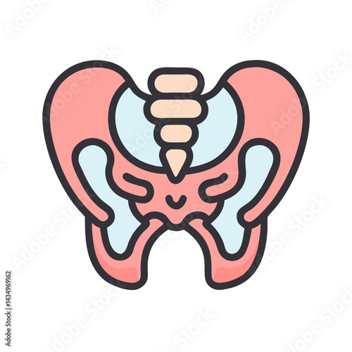Pelvic bone structure illustration in flat style on black