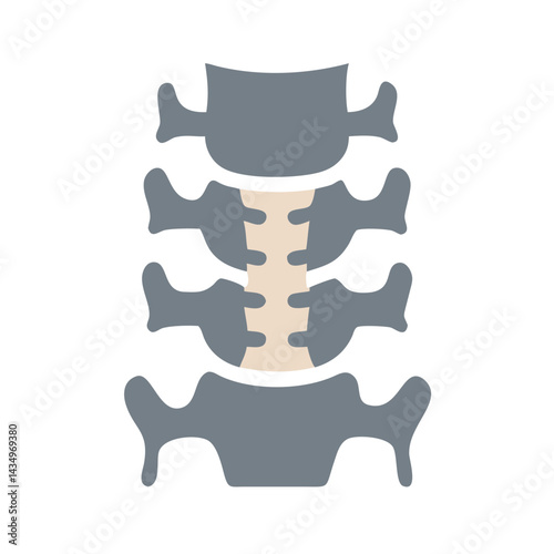 Cervical spine illustration showing bone structure and intervertebral discs