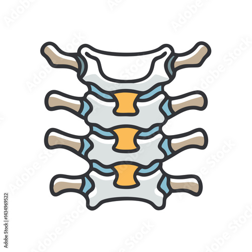 Stylized vector graphic of cervical spine anatomy illustration