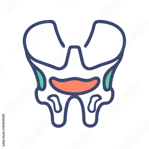 Stylized illustration of pelvic bone structure on black background