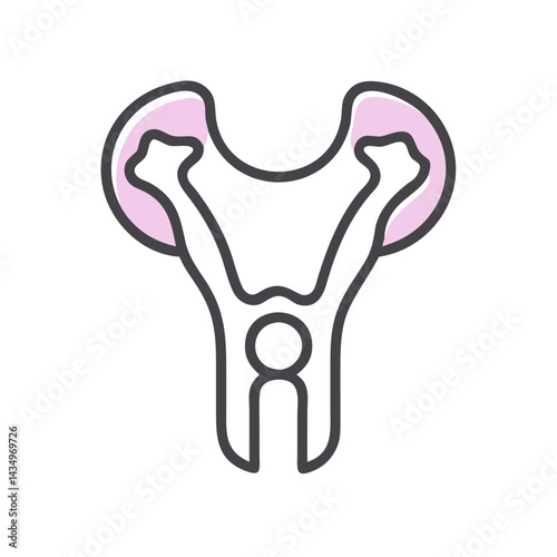 Abstract anatomical illustration of a uterus with Fallopian tubes
