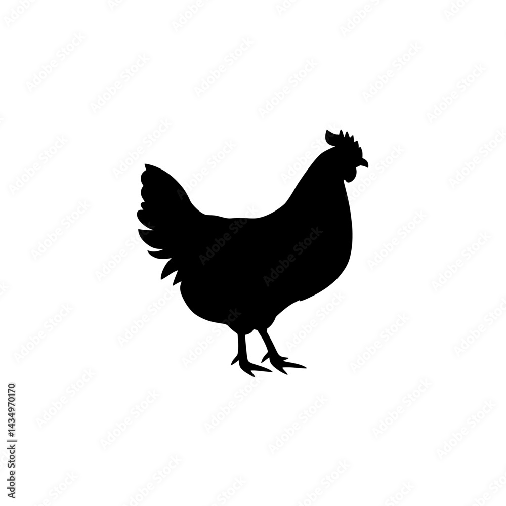 hen silhouette vector , hen on white background hen silhouette vector , hen on white background