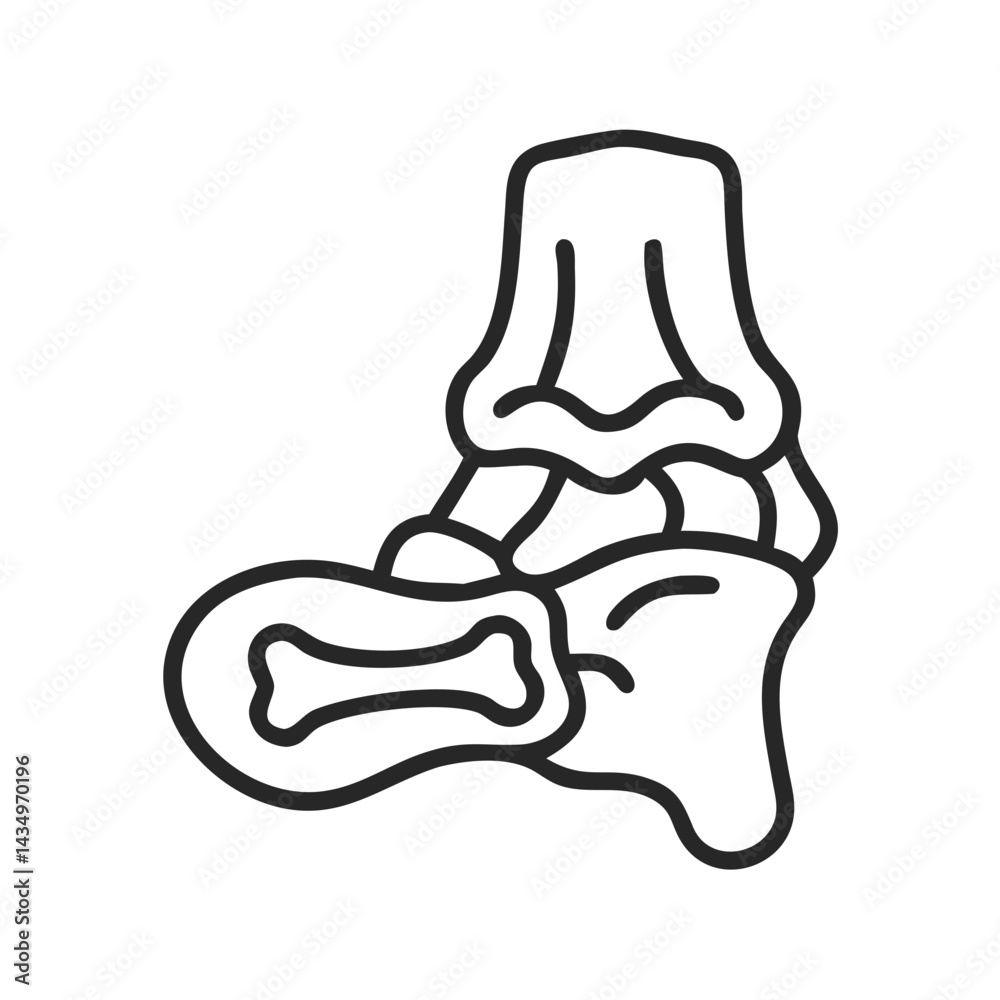 Fototapeta premium Foot bone structure outline on a dark background graphic