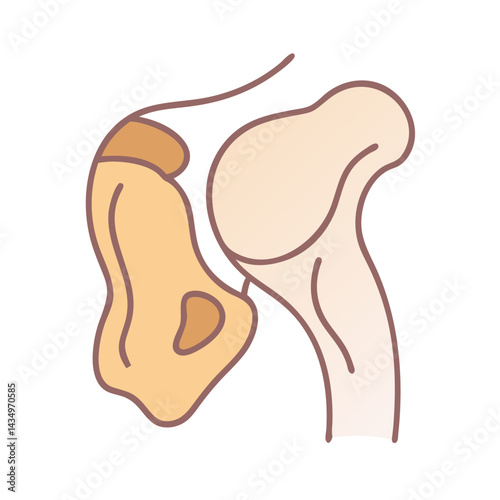 Simplified illustration of a shoulder joint anatomy on black