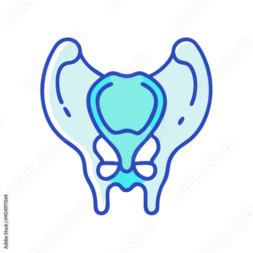 Human pelvic bone anatomy icon in light blue color