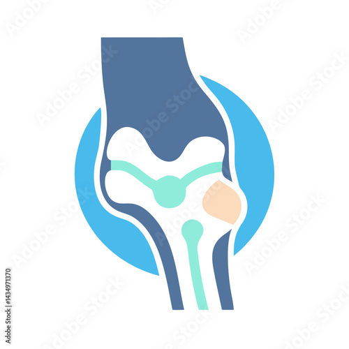Diagram of Knee Joint Anatomy with Circular Highlight Graphic