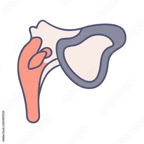 Stylized graphic of shoulder joint anatomy on black background