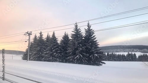 Obraz na płótnie Snowy landscape with coniferous trees and power lines at dawn w salonie