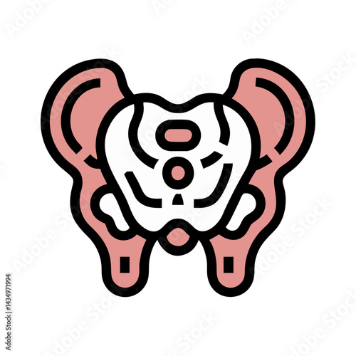 Human pelvis bone illustration in minimal flat design style