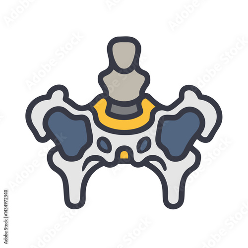 Anatomical illustration of a human pelvis on a black background