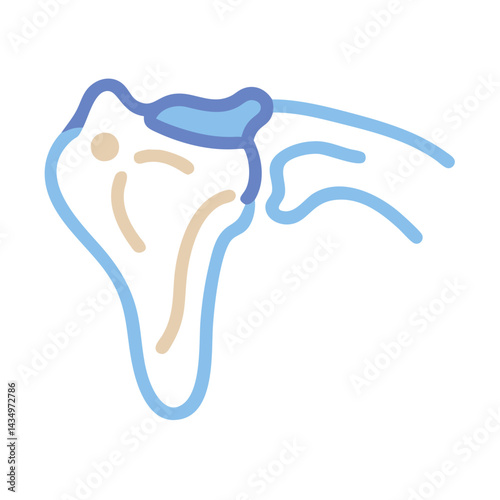 Stylized graphic of shoulder joint in light blue hues