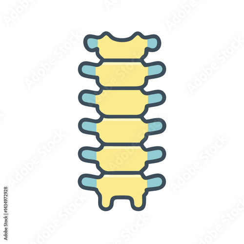 Stylized spine anatomy featuring vertebrae bones isolated on black