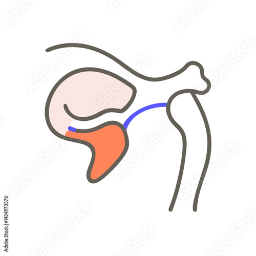 Schematic anatomical illustration of human mouth cavity with organs