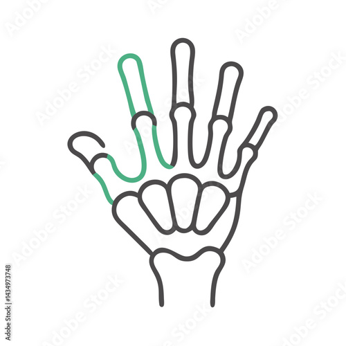 Hand skeleton with green index finger, anatomy illustration