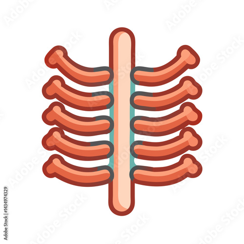 Simplified human rib cage medical illustration on black background