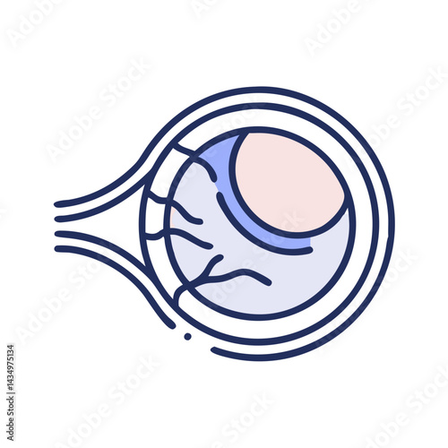 Anatomical diagram of the human eye in flat design